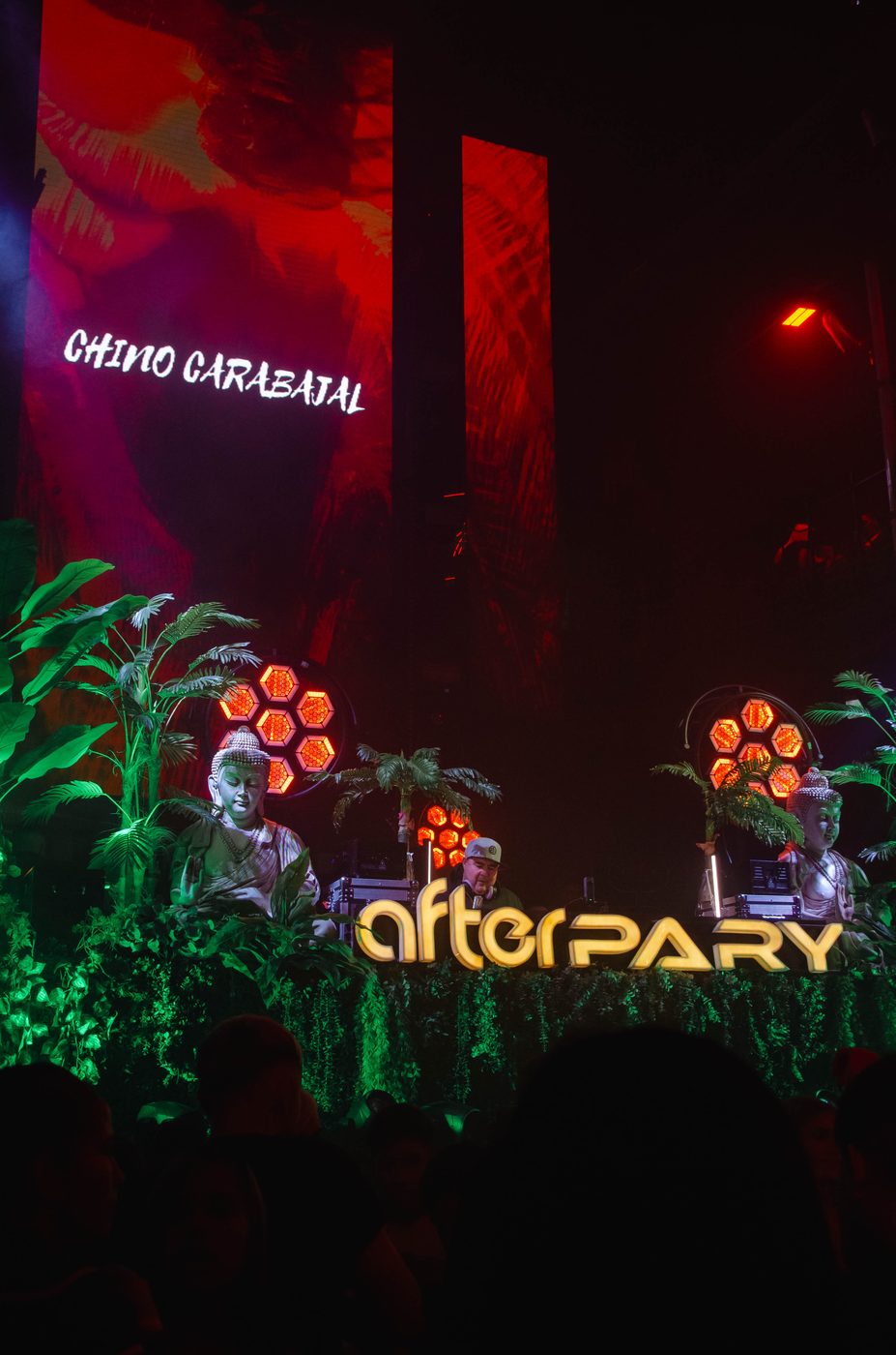 Cartel afterPARY — SET LIVE BA